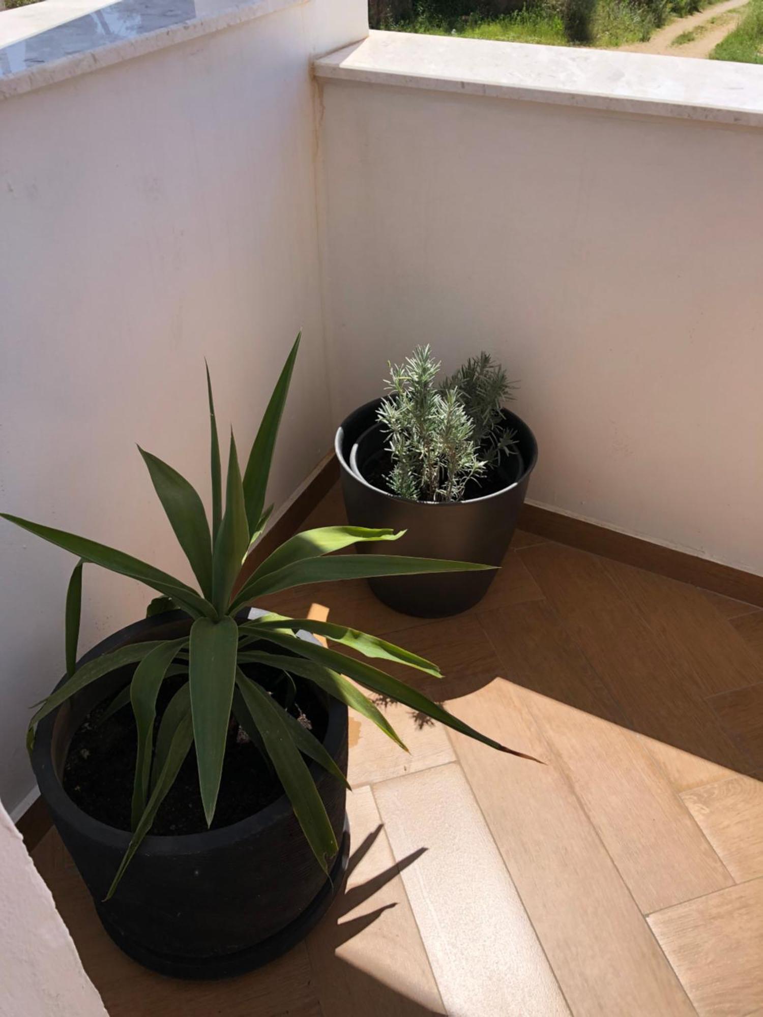 Apartments Lungo Mare Ulcinj Kültér fotó