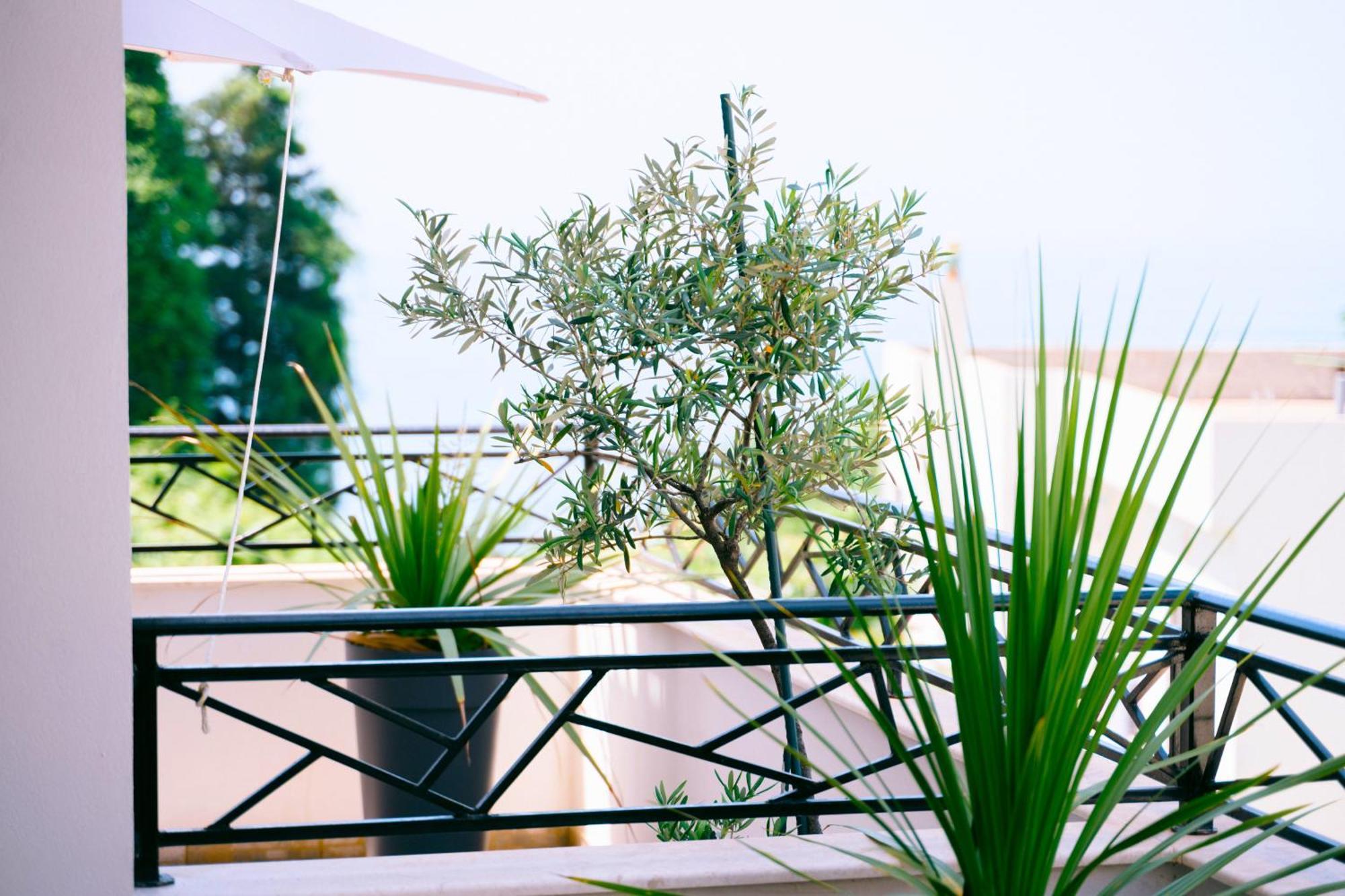 Apartments Lungo Mare Ulcinj Kültér fotó